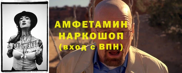 PSILOCYBIN Каменка
