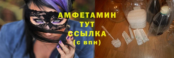 PSILOCYBIN Каменка