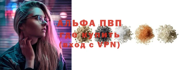PSILOCYBIN Каменка
