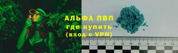 PSILOCYBIN Каменка