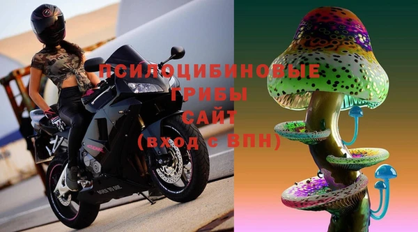 PSILOCYBIN Каменка