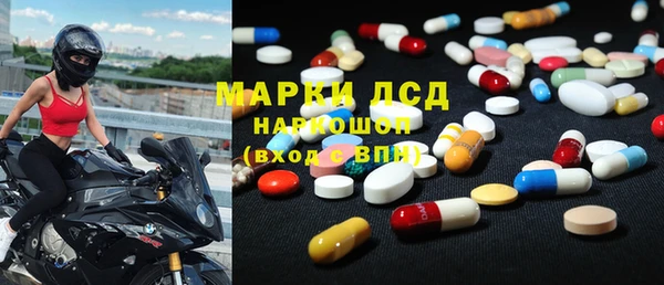 PSILOCYBIN Каменка