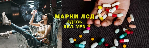PSILOCYBIN Каменка