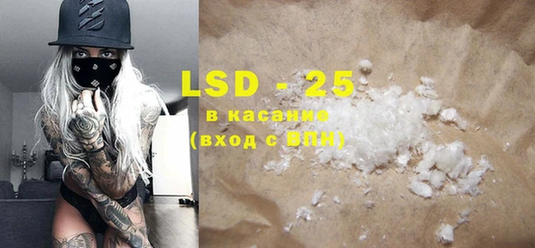 PSILOCYBIN Каменка