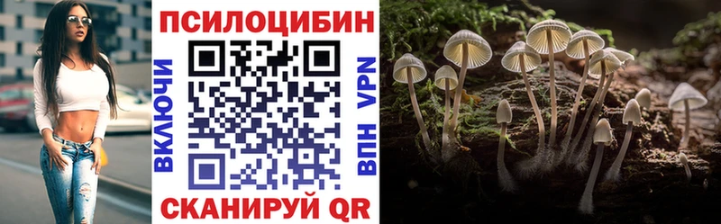 Купить закладки  Жуковка  Псилоцибиновые грибы MAGIC MUSHROOMS 