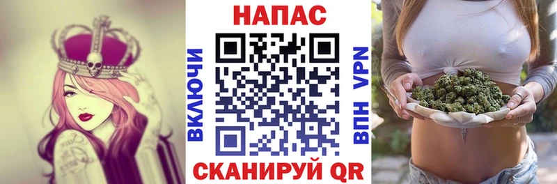 Каннабис сатива Жуковка